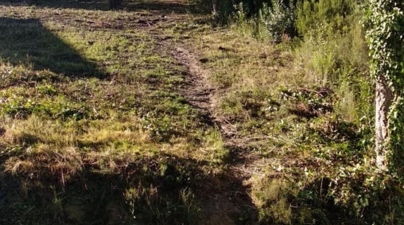 Gerona - Maçanet de la Selva - 1200m2