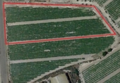 Terreno no urbanizable en venta en la España, Puerto Lumbreras, ref: TR115909 foto