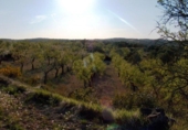 Xalet independent amb terreny en venda a la España, Calaceit, ref.: TR299136 foto