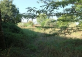 Non-developable land for sale on España, Malpartida de Plasencia, ref: TR118708 photo