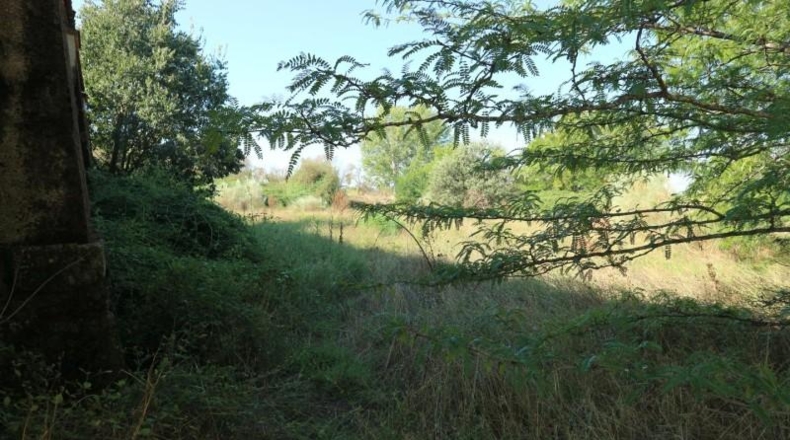 Cáceres - Malpartida de Plasencia - 8409m2