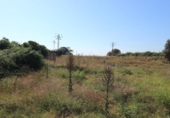 Non-developable land for sale on España, Malpartida de Plasencia, ref: TR118708 photo