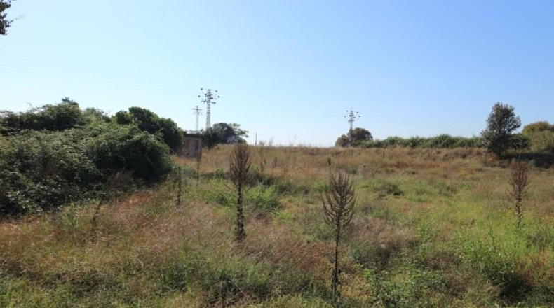 Cáceres - Malpartida de Plasencia - 8409m2