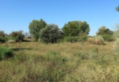 Non-developable land for sale on España, Malpartida de Plasencia, ref: TR118708 photo