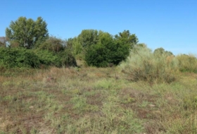 Malpartida de Plasencia 8409&nbsp;m²