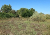 Non-developable land for sale on España, Malpartida de Plasencia, ref: TR118708 photo