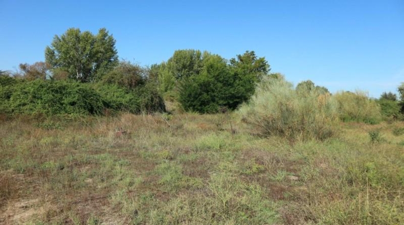 Cáceres - Malpartida de Plasencia - 8409m2
