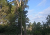 Urban land for sale on España, Corbera de Llobregat, ref: TR118874 photo