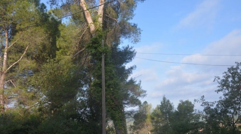 Barcelona - Corbera de Llobregat - 816m2