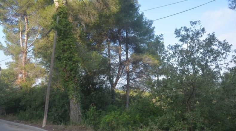 Barcelona - Corbera de Llobregat - 816m2