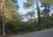 Urban land for sale on España, Corbera de Llobregat, ref: TR118874 photo