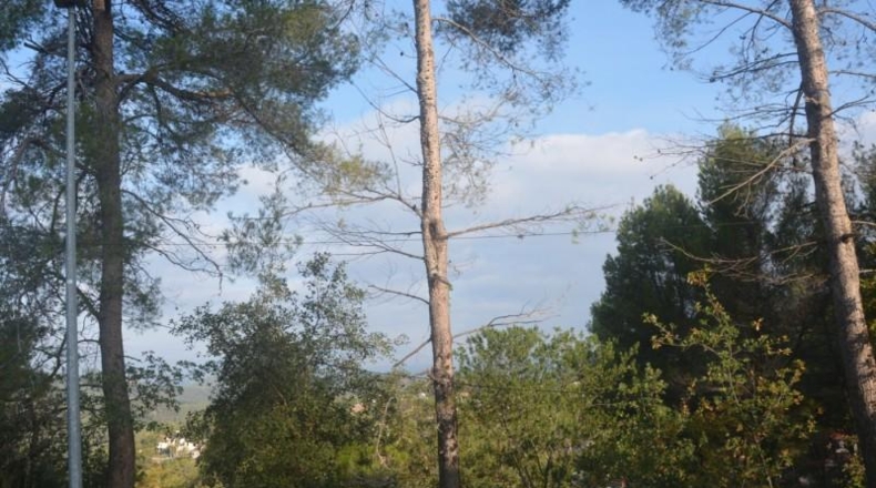 Barcelona - Corbera de Llobregat - 816m2