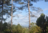 Urban land for sale on España, Corbera de Llobregat, ref: TR118874 photo