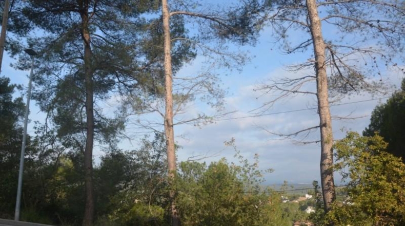 Barcelona - Corbera de Llobregat - 816m2
