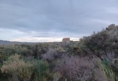 Non-developable land for sale on España, Novelda, ref: TR119219 photo