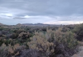 Non-developable land for sale on España, Novelda, ref: TR119219 photo