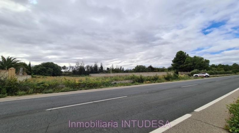 Navarra - Cascante - 2203m2