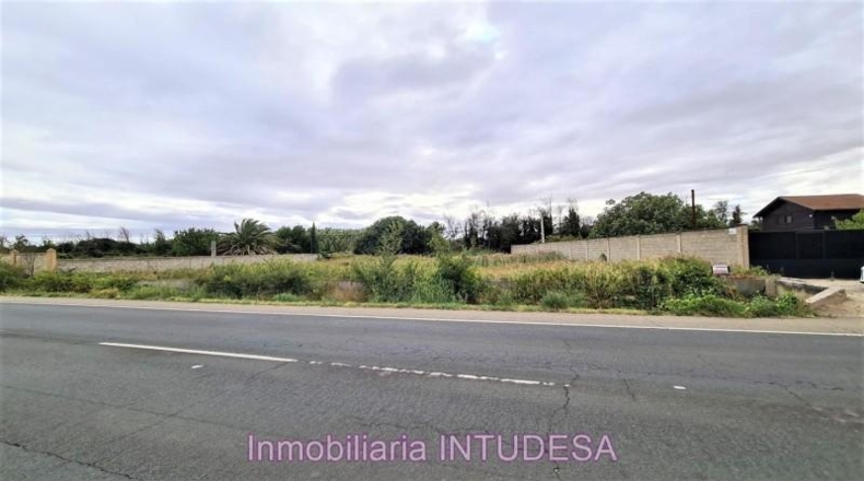 Navarra - Cascante - 2203m2