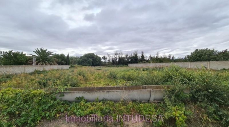 Navarra - Cascante - 2203m2