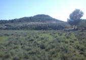 Land suitable for development for sale on España, Calasparra, ref: TR119438 photo