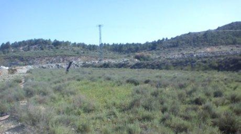 Múrcia - Calasparra - 22000m2