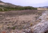 Land suitable for development for sale on España, Calasparra, ref: TR119438 photo