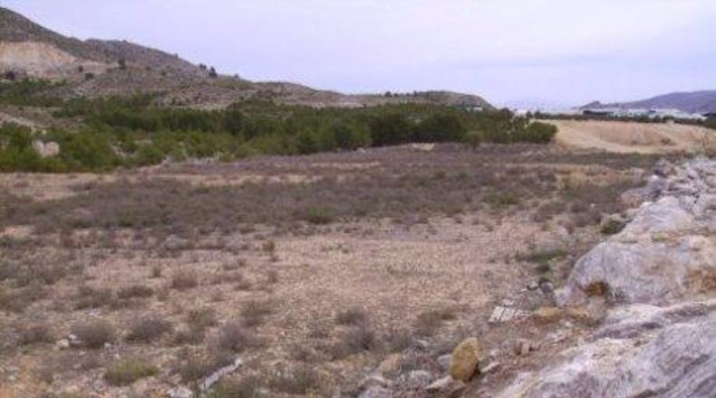 Múrcia - Calasparra - 22000m2