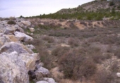 Land suitable for development for sale on España, Calasparra, ref: TR119438 photo