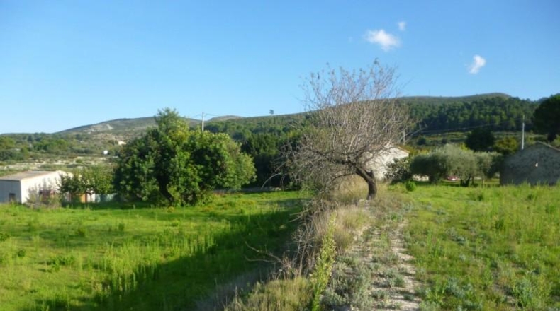 València - Onteniente - 16126m2