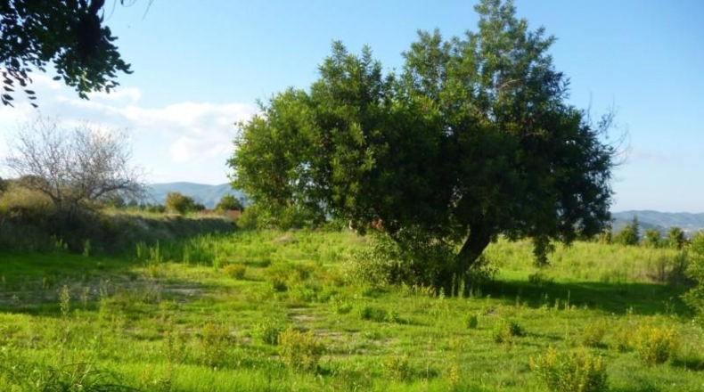 València - Onteniente - 16126m2