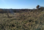Non-developable land for sale on España, Gargüera de la Vera, ref: TR117040 photo