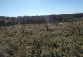 Non-developable land for sale on España, Gargüera de la Vera, ref: TR117040 photo