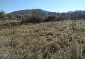 Non-developable land for sale on España, Gargüera de la Vera, ref: TR117040 photo