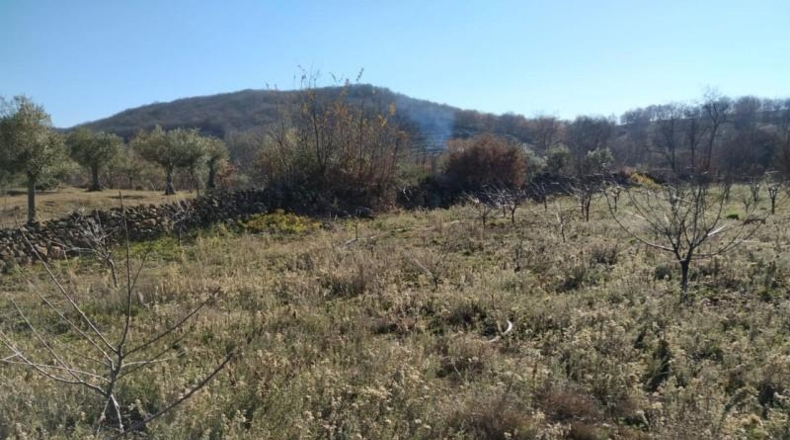 Cáceres - Gargüera de la Vera - 6015m2