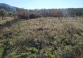 Non-developable land for sale on España, Gargüera de la Vera, ref: TR117040 photo