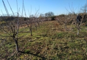 Non-developable land for sale on España, Gargüera de la Vera, ref: TR117040 photo