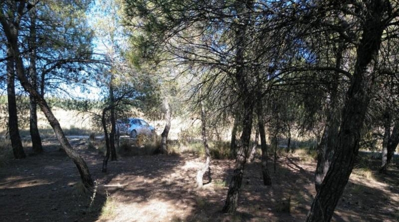 Albacete - Almansa - 4500m2