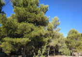Urban land for sale on España, Almansa, ref: TR117205 photo