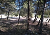 Urban land for sale on España, Almansa, ref: TR117205 photo