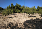 Urban land for sale on España, Almansa, ref: TR117205 photo
