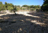 Urban land for sale on España, Almansa, ref: TR117205 photo