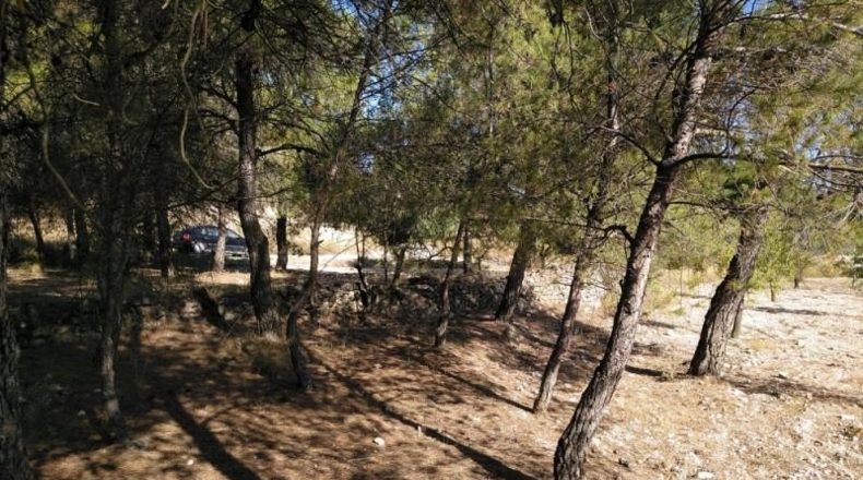 Albacete - Almansa - 4500m2