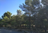 Urban land for sale on España, Almansa, ref: TR117205 photo