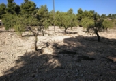 Urban land for sale on España, Almansa, ref: TR117205 photo