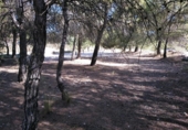 Urban land for sale on España, Almansa, ref: TR117205 photo