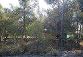 Urban land for sale on España, Almansa, ref: TR117205 photo