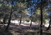 Urban land for sale on España, Almansa, ref: TR117205 photo