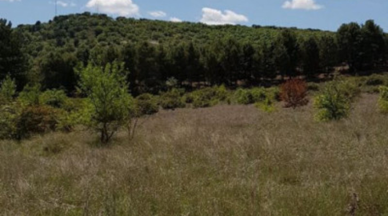 Palència - Palencia - 10324m2
