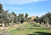 Chalet independiente con terreno en venta en la España, Mazaleón, ref: TR300822 foto
