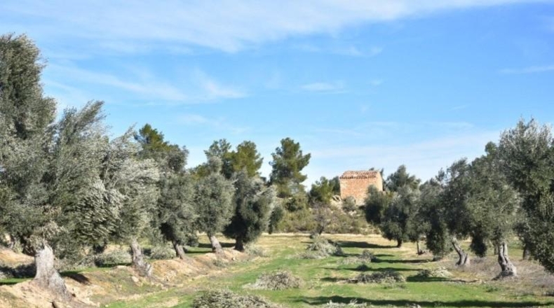 Teruel - Mazaleón - 33700m2